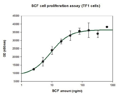 stem cell factor human