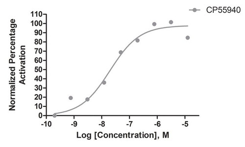 ready-to-assay cb1 cannabinoid receptor frozen cells