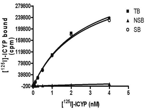 chemiscreen membrane preparation recombinant human beta1 adrenoceptor receptor