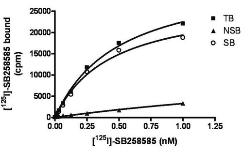 chemiscreen membrane preparation recombinant human 5-ht6 serotonin receptor