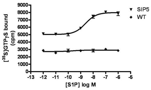 chemiscreen membrane preparation recombinant human s1p5 lysophospholipid receptor