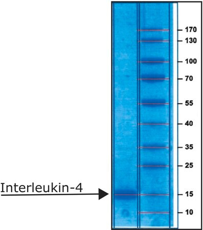interleukin-4 human (c15-1468-232)