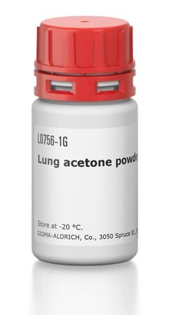 lung acetone powder from rabbit (c15-1470-486)