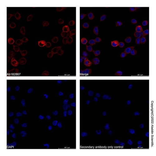 goat anti-human igg (af647) (c09-1577-524)