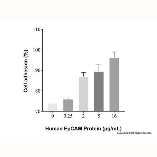 recombinant human epcam/trop1 protein (c09-1612-925)