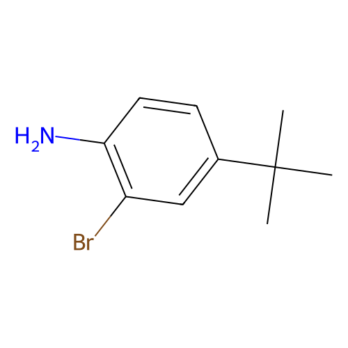 2-bromo-4-tert-butylaniline