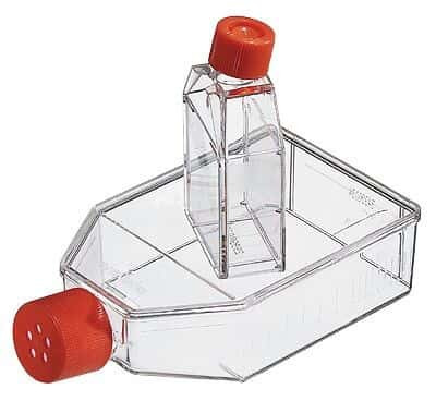 flask tissue culture 200/cs (c22-1492-322)