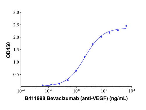 bevacizumab (anti-vegf)