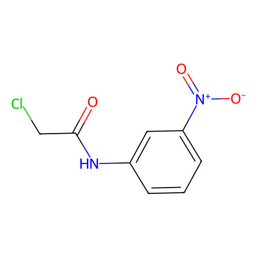 2-chloro-3'-nitroacetanilide