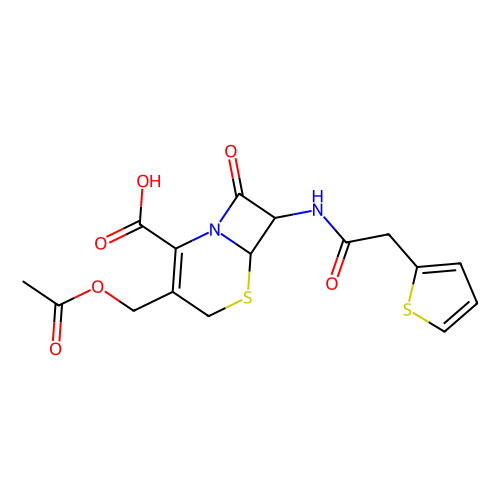 cephalothin