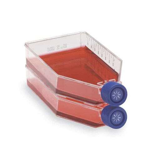 flask tissue culture 30/cs (c22-1498-640)