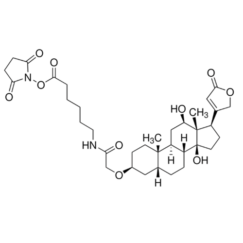 digoxigenin nhs ester
