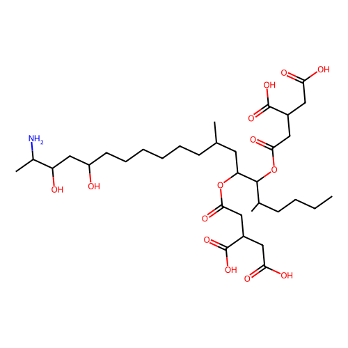 fumonisin b2-13c34