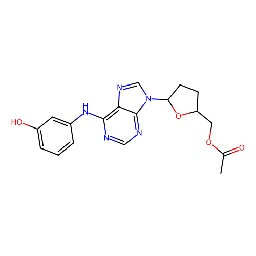 imm-h007
