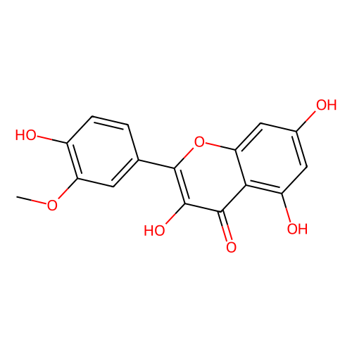 isorhamnetin