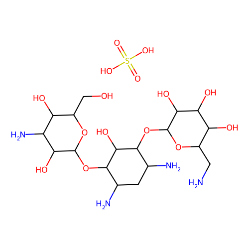 kanamycin solution from streptomyces kanamyceticus
