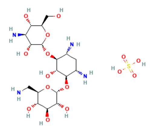 kanamycin sulfate from streptomyces kanamyceticus