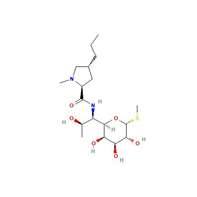 lincomycin