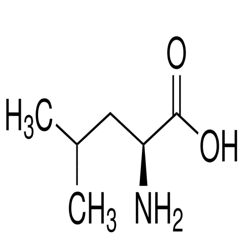 l-leucine