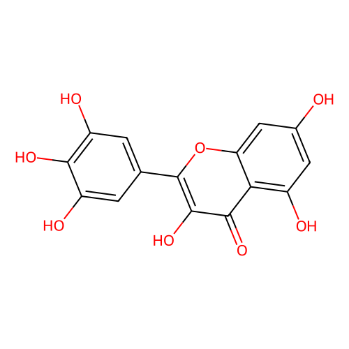 myricetin
