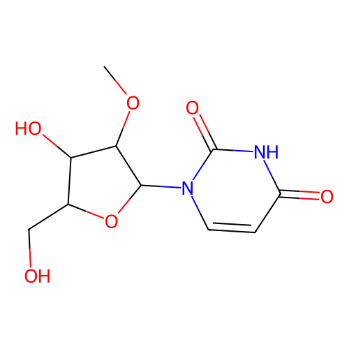 2'-o-methyluridine