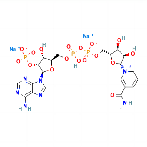 nadp, disodium salt