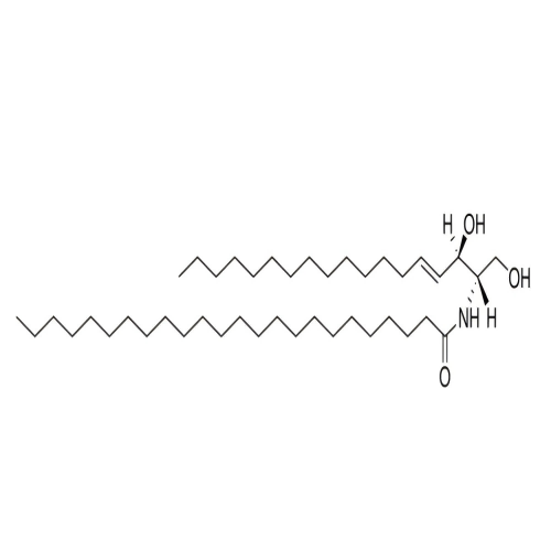 c24 ceramide (d18:1/24:0)