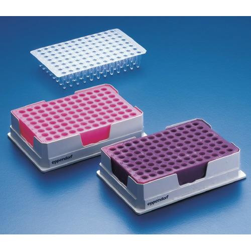 pcr-cooler, 0.2 ml, blue