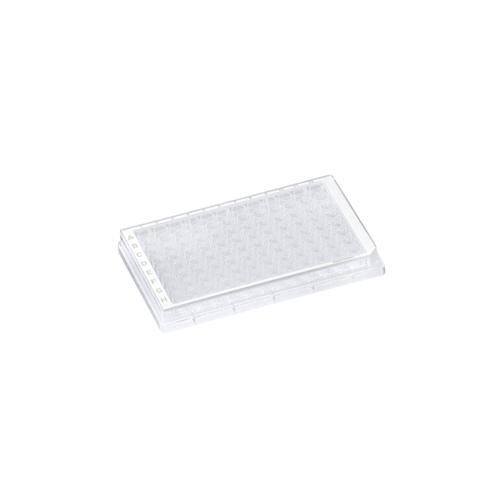 plate 384 well v btm std clear