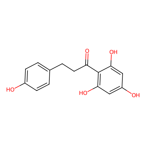 phloretin
