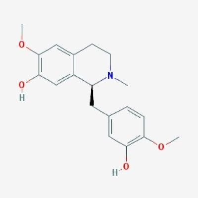 (s)-reticuline
