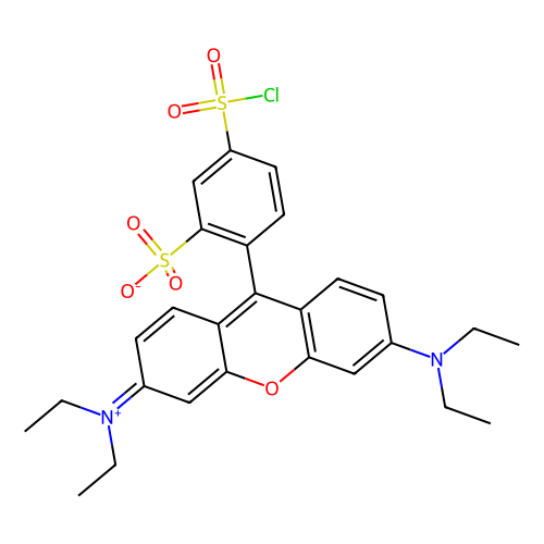 sulforhodamine b acid chloride [rhodamine b sulfonyl chloride], [known as lissamine™ rhodamine b sulfonyl chloride, tm of perkinelmer]