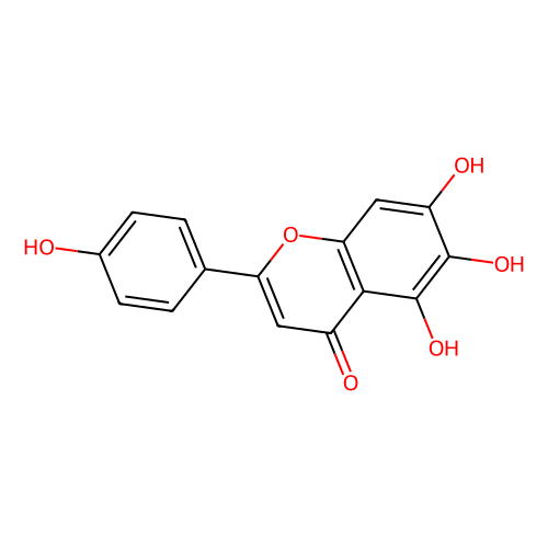 scutellarein