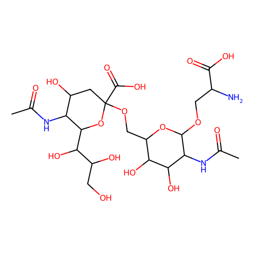 stn epitope