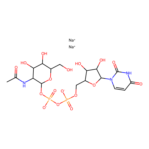 uridine 5’-diphospho-n-acetylglucosamine disodium salt