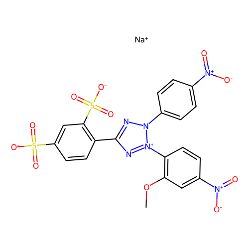 wst-8