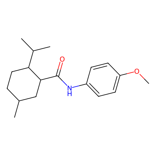 ws 12
