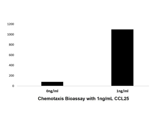 recombinant human ccl25 protein