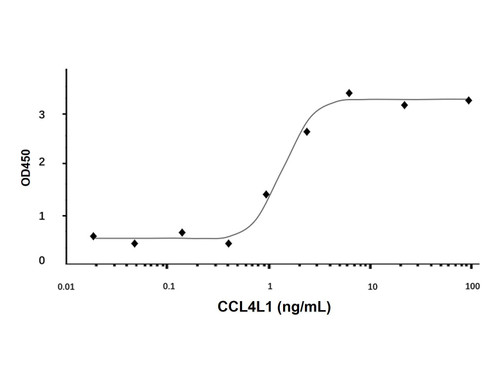 recombinant human ccl4l1 protein