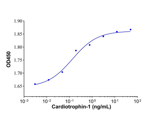 recombinant human cardiotrophin-1 protein