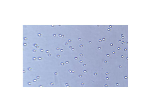 recombinant human epcam protein