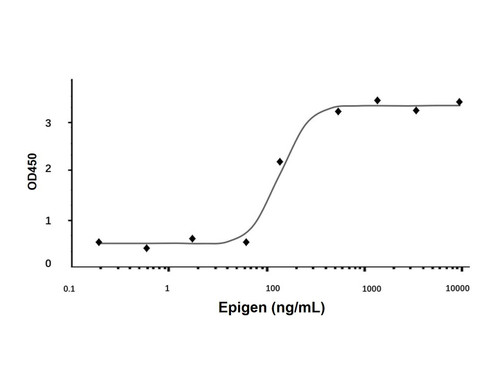 recombinant human epigen protein