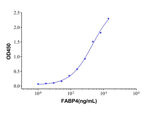 recombinant human fabp4 protein