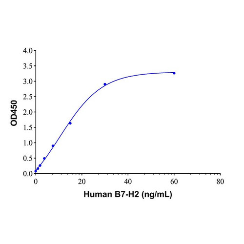 recombinant human b7-h2 protein