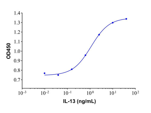 recombinant human il-13 protein