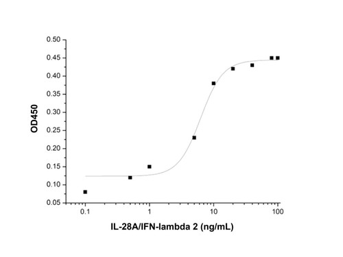 recombinant human il-28a/ifn-lambda 2 protein