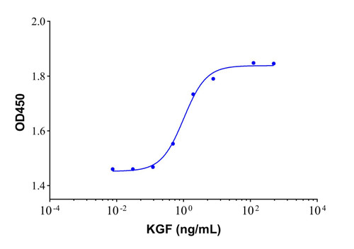 recombinant human kgf/fgf-7 protein