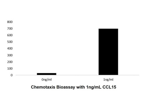 recombinant human ccl15 protein