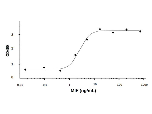 recombinant human mif protein
