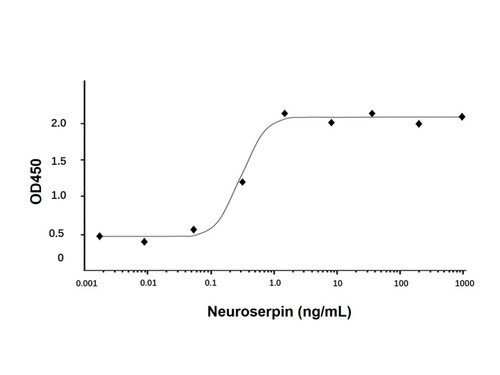 recombinant human neuroserpin protein